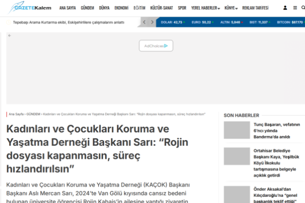 gazete kalem kadinlari ve cocuklari koruma ve yasatma dernegi baskani sari rojin dosyasi kapanmasin surec hizlandirilsin